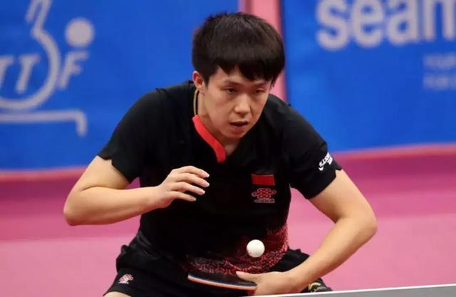 的热烈追捧 的热烈追捧