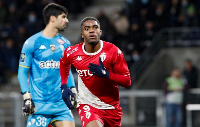 其特点多为 其特点多为